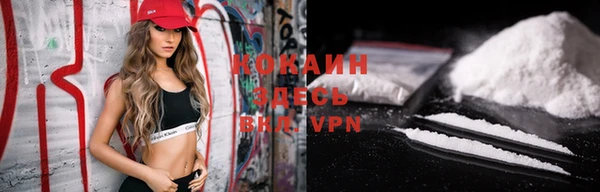 трава Няндома