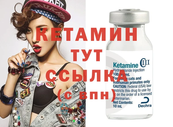 трава Няндома