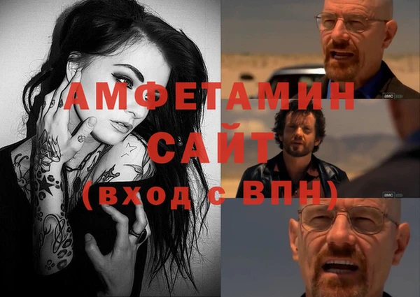 трава Няндома