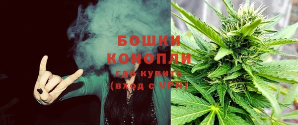 трава Няндома