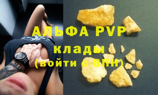 трава Няндома
